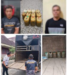 WhatsApp Image 2026-04-12 at 12.00.55