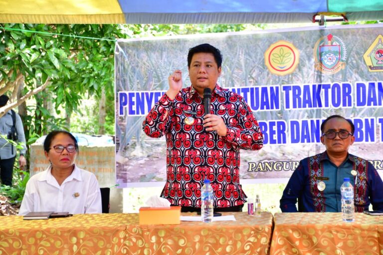 WhatsApp Image 2026-04-13 at 17.33.30