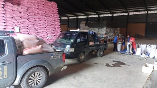 WhatsApp Image 2026-04-15 at 08.23.25