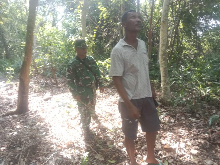 WhatsApp Image 2026-04-15 at 13.03.03