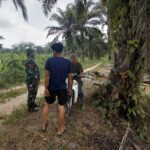 WhatsApp Image 2026-04-24 at 10.59.03