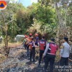 WhatsApp Image 2026-04-26 at 15.38.59