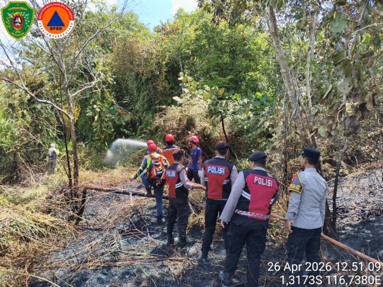 WhatsApp Image 2026-04-26 at 15.38.59