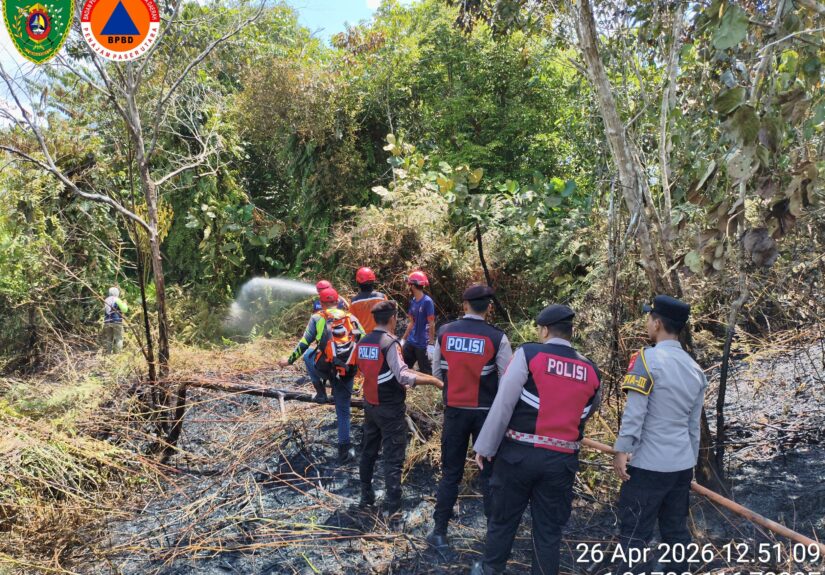 WhatsApp Image 2026-04-26 at 15.38.59