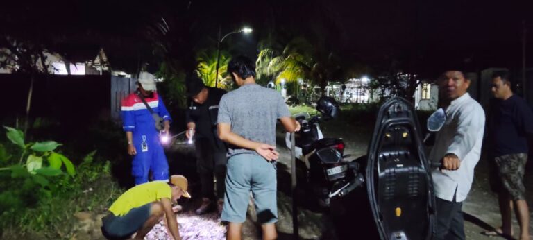 WhatsApp Image 2026-04-28 at 07.26.58