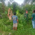 WhatsApp Image 2026-04-28 at 11.40.50