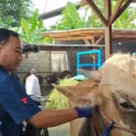 WhatsApp Image 2026-04-28 at 14.09.15