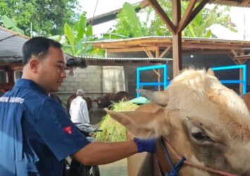 WhatsApp Image 2026-04-28 at 14.09.15