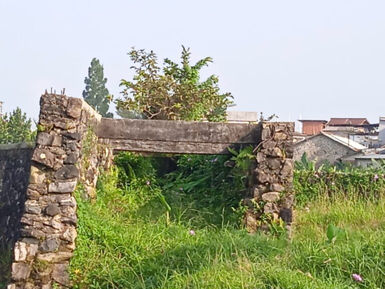 WhatsApp Image 2026-04-28 at 14.36.35