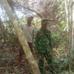 WhatsApp Image 2026-04-29 at 10.56.43