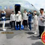 WhatsApp Image 2026-04-29 at 17.17.15