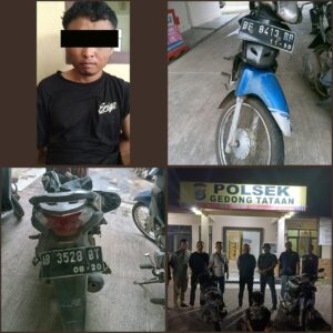 WhatsApp Image 2026-05-26 at 12.47.51