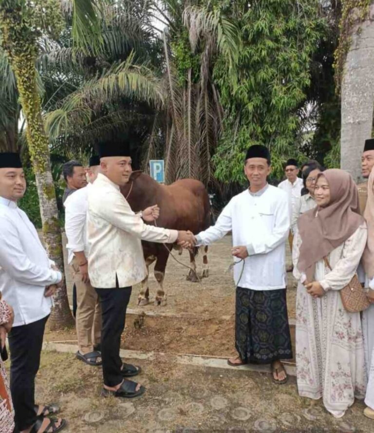 WhatsApp Image 2026-05-28 at 03.19.37