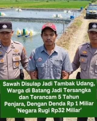 WhatsApp Image 2026-06-13 at 13.55.32