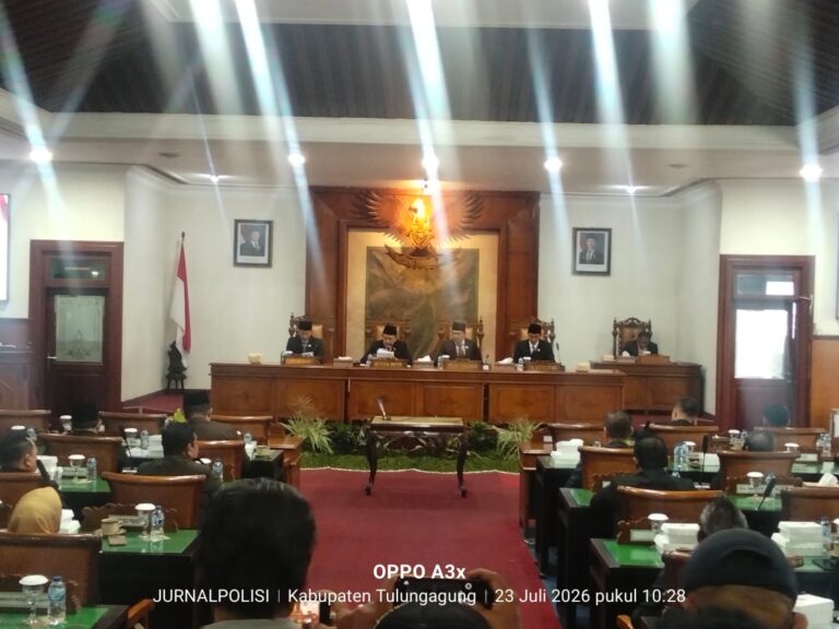 WhatsApp Image 2026-07-23 at 19.17.26