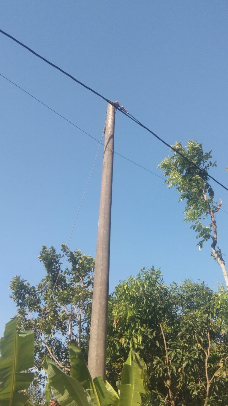 WhatsApp Image 2026-07-23 at 20.22.24
