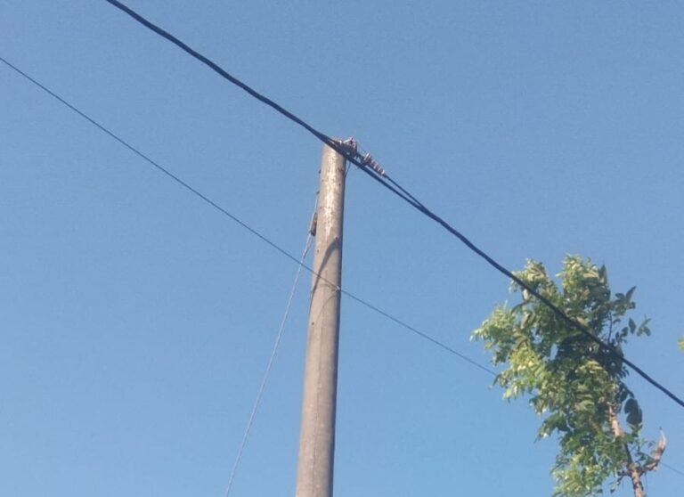 WhatsApp Image 2026-07-23 at 20.26.53