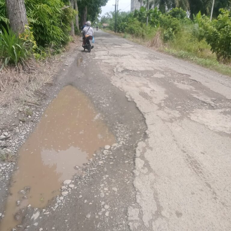 WhatsApp Image 2026-07-26 at 13.25.19
