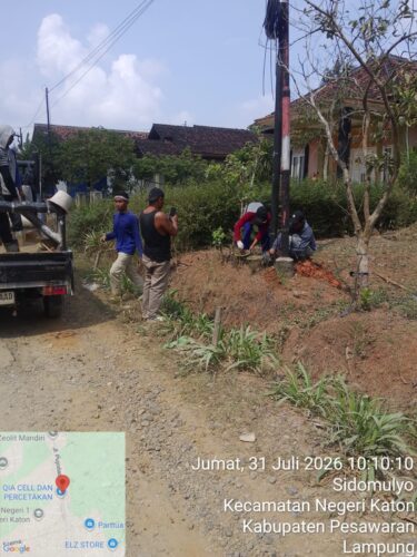 WhatsApp Image 2026-07-31 at 10.31.54