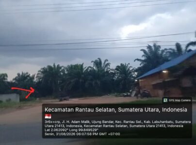1001395774
