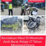 WhatsApp Image 2026-10-31 at 17.07.41