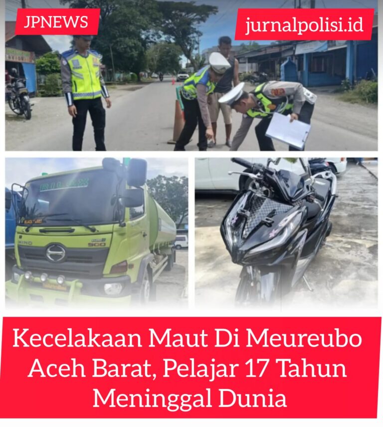 WhatsApp Image 2026-10-31 at 17.07.41