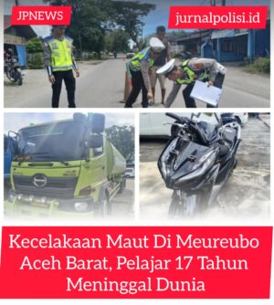 WhatsApp Image 2026-10-31 at 17.07.41